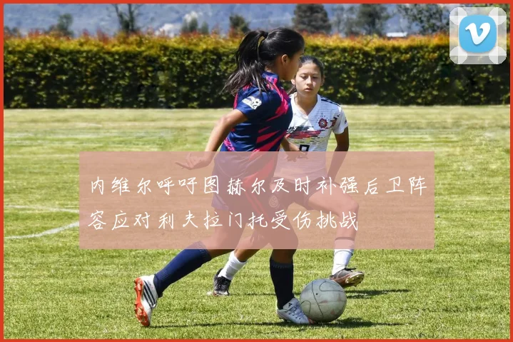 内维尔呼吁图赫尔及时补强后卫阵容应对利夫拉门托受伤挑战