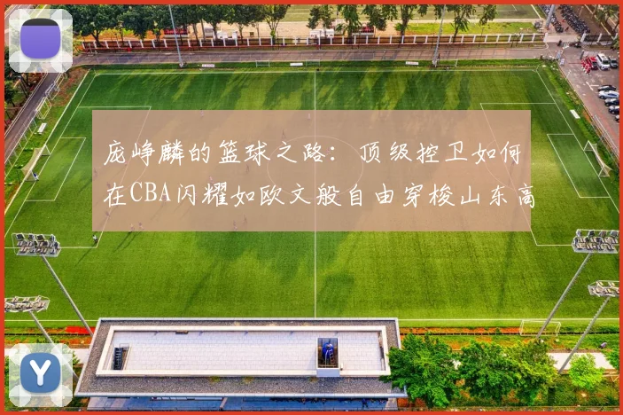庞峥麟的篮球之路：顶级控卫如何在CBA闪耀如欧文般自由穿梭山东高速