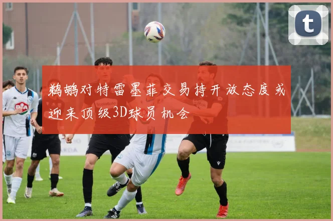 鹈鹕对特雷墨菲交易持开放态度或迎来顶级3D球员机会
